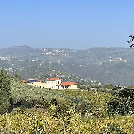 Suite La Torretta - Ca' Del Volo Греццана Екстер'єр фото